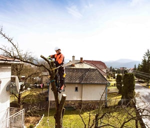 travaux de peinture extérieur