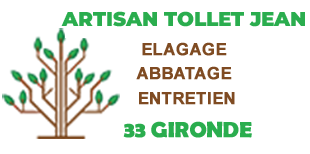 Tollet Jean Elagage 33